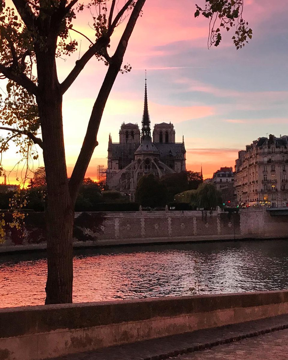 I wish I took your picture 1000 more times, my beautiful neighbour. For all the history lovers, architecture lovers, Paris lovers: we're feeling the same helplessness and sadness. Here’s to our Notre Dame, who will continue to inspire even at her darkest moment #NotreDame  🕊️
