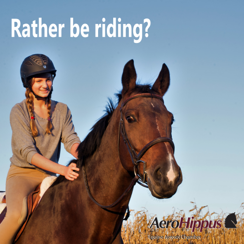 TMIAnimalHealth's tweet photo. Delivery of equine asthma medication is fast and easy using asthma inhalers and #AeroHippus* Chamber, which means you can get back to riding sooner. https://t.co/fqiah1rhKL
#equineasthma #horse https://t.co/VvAsSAlrtj