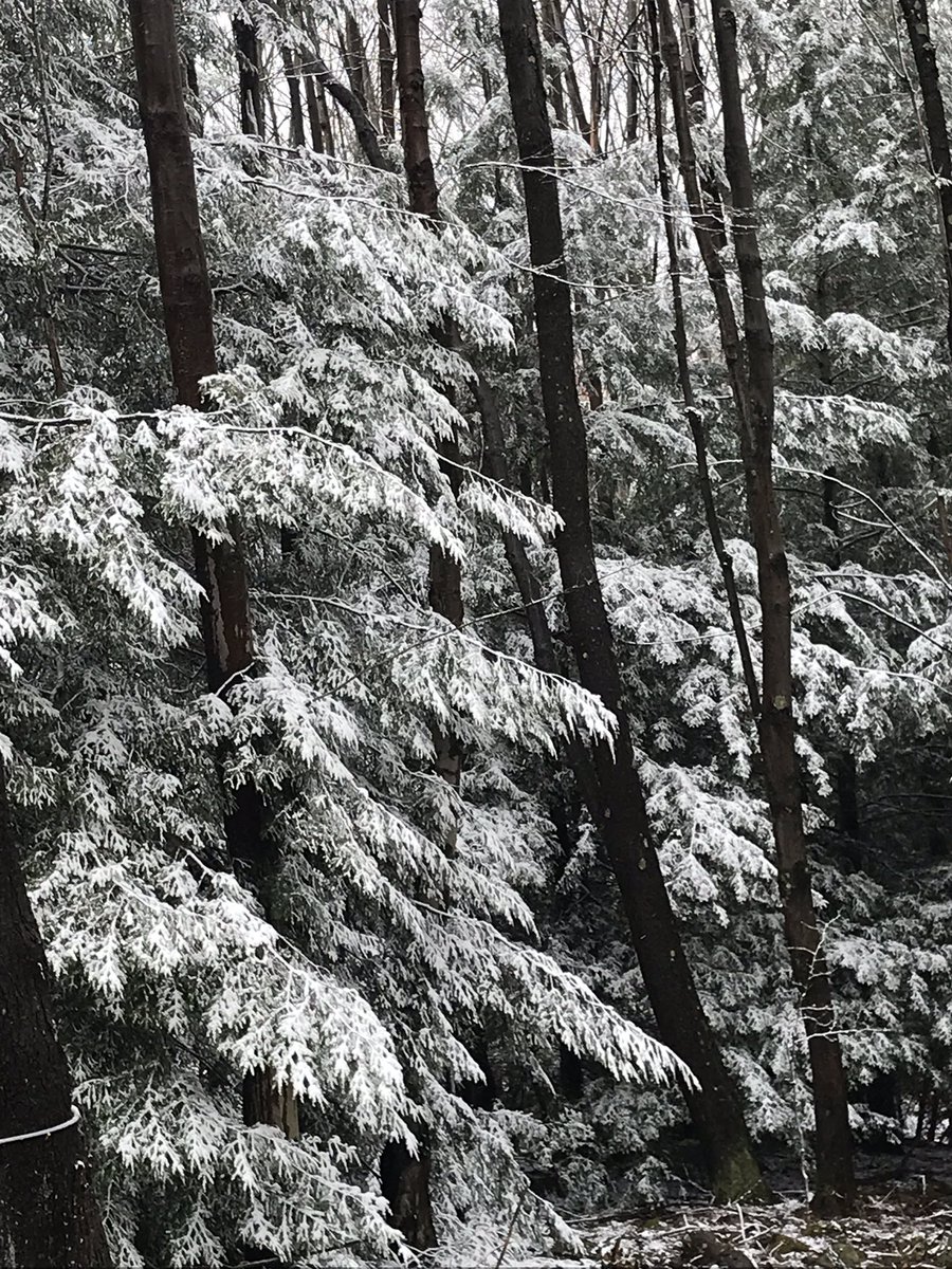 Derrick Bender tweet media