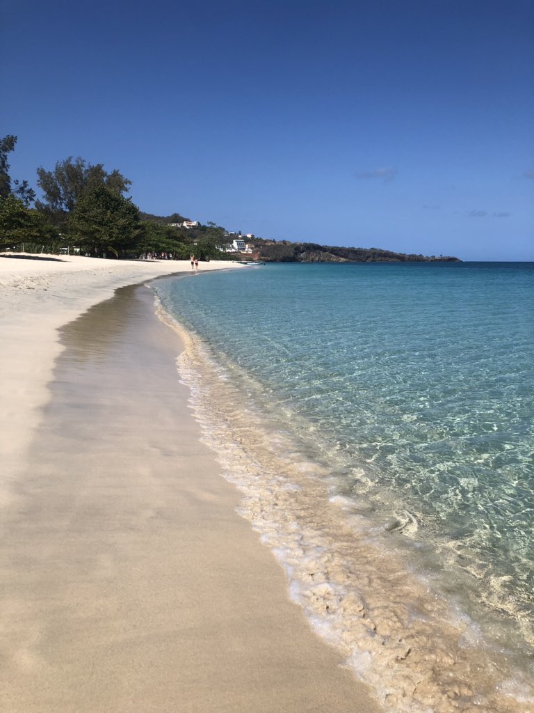 HannahSegrave's tweet photo. Season opener ✅
•
Got to spend Sunday morning snorkeling around Grenada and seeing some of the island! 🐠🐟
#grenadainvitational https://t.co/8bASCvMjat