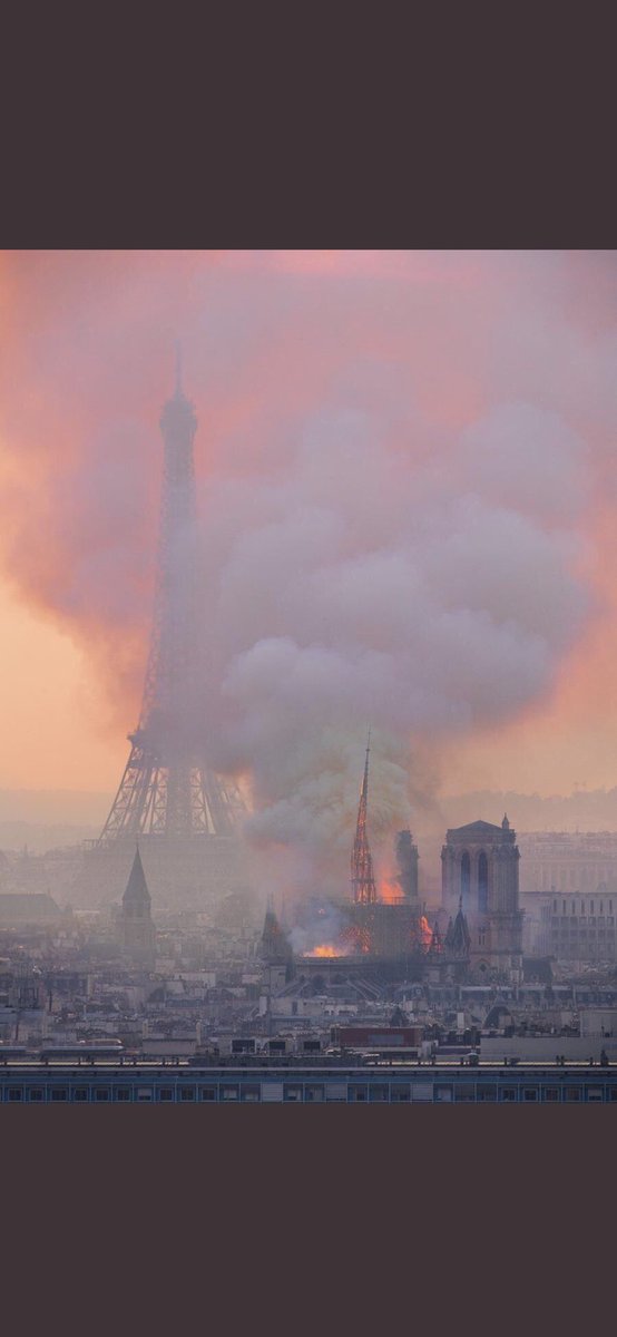 emtothea's tweet image. Quit the bad job now.
Call an old friend now.
Travel now.
Create it, make it, write it now.
Tell them you love them now.
Do the thing now.
Now is about to be then.