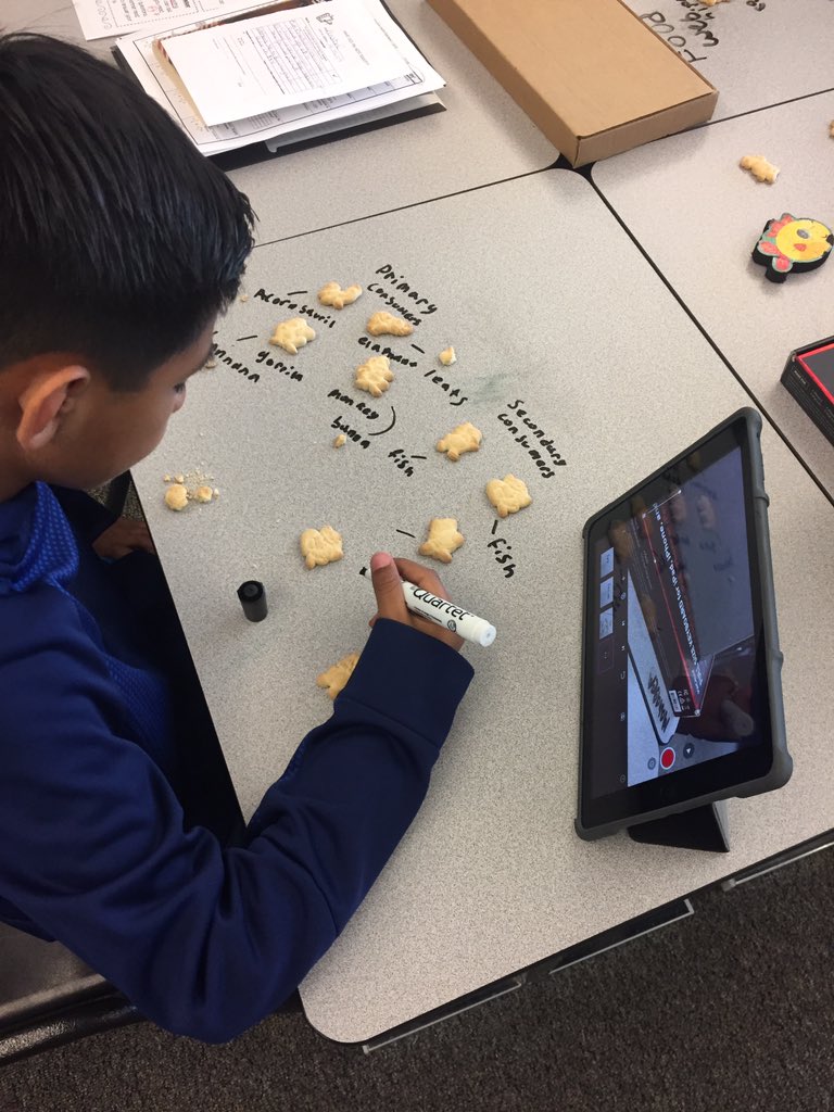 mrsmancebo's tweet image. Ss being creative demonstrating how a good web works with animal crackers and stop motion. @lombardibears @BurtonSchools #ib #whoweare #checkingforunderstanding