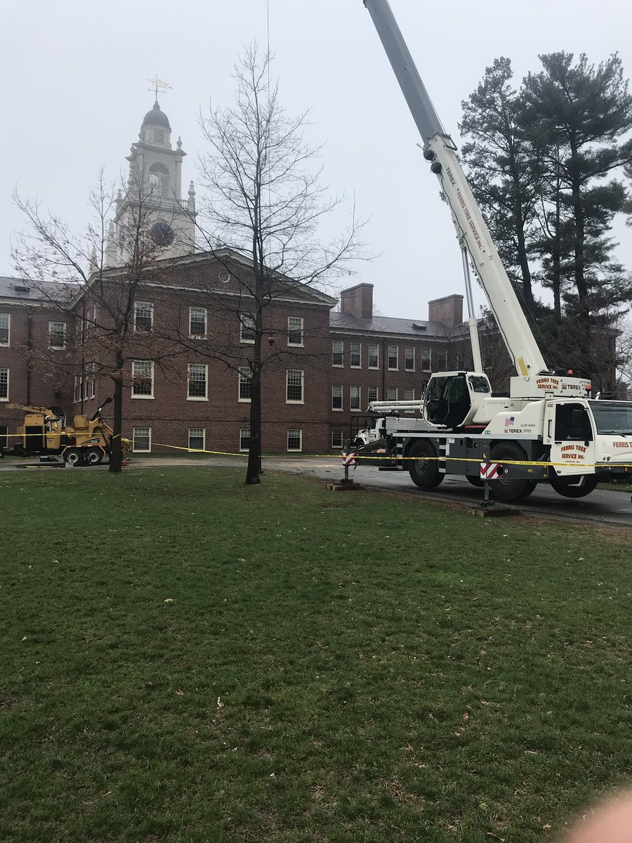 FerrisTreeSvc's tweet image. Removing some dead trees today from behind a local school. The rain ended just in time.
