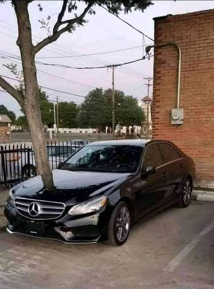 اللي شاف الشجرة في وسط السيارة انصحه بزيارة طبيب عيون 😂😂