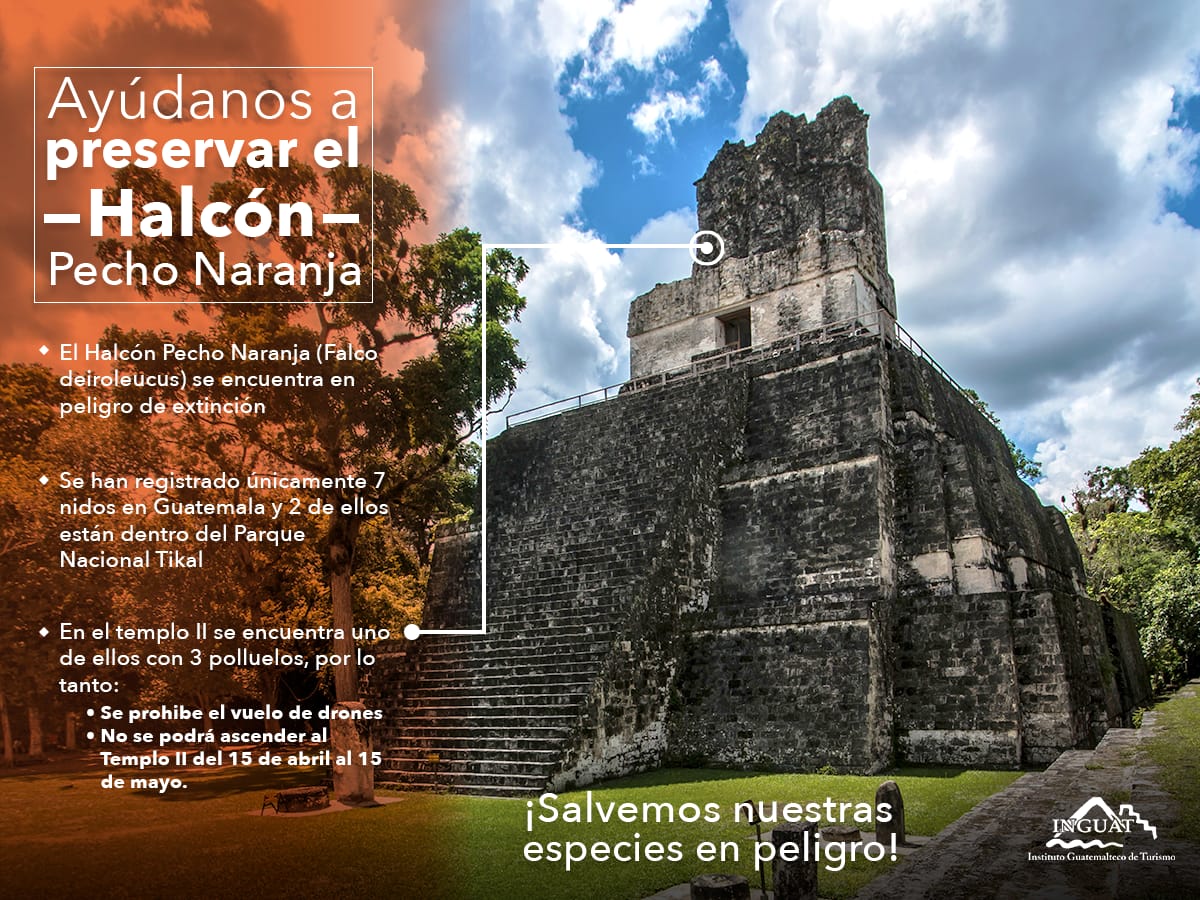 Cecon Usac (@cecongt) on Twitter photo 