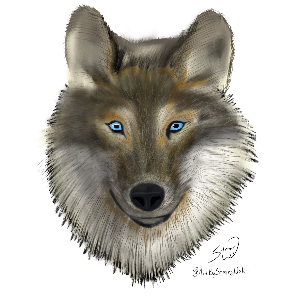 ArtByStrongWolf's tweet image. A wolf headshot.  Might become my new avatar, haven&apos;t decided yet.
#digitalart #OpenSourceArt #GIMP #CreatedOnUbuntu #wildanimals #nature #CanisLupus #timberwolf