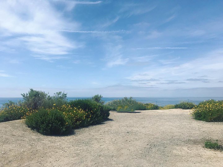 PinupPoleShow's tweet photo. Imagine four classics in front of this view. If you have a pre-1970 black glossy classic you’d like photos of with our models and professional photographer, hit me up! We’re shooting this Thursday morning and need your ride! #pinuppoleshow #classiccar… https://t.co/sielarPFBg https://t.co/Yr1w5ludmU