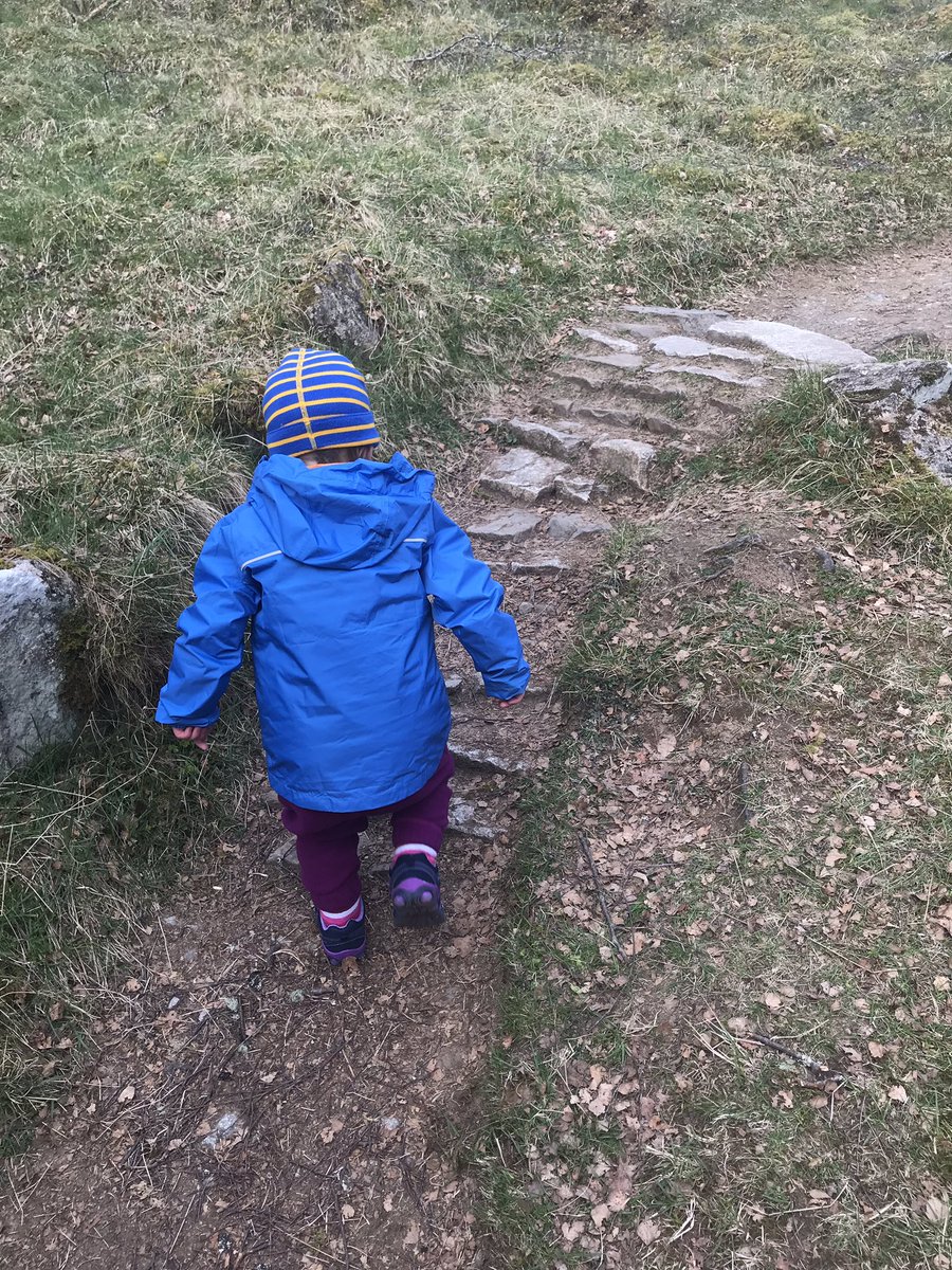 tabamountains's tweet photo. This ones mountain legs are getting stronger. She walked over half way up and back down Craigellachie by herself today! And managed to fit in a power nap before the summit. #mountainbaby #outdoorfamily #thisgirlcan @patagonia @JackWolfskinUK @TheCairngorms #windywindy https://t.co/7CwkJGw36C