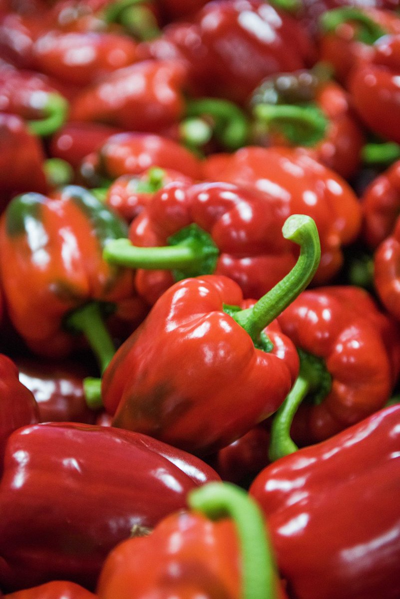 We Heart Local BC (@weheartlocalbc) on Twitter photo BC #Greenhouse Growers don't use waxes: the #vegetables you purchase are just like they were when picked off the plant. Learn more via <a href="/bcgreenhouse/">BC Greenhouse</a> here: ow.ly/CoYX30oolMV 📷: BC Greenhouse Growers BC #Greenhouse Growers don't use waxes: the #vegetables you purchase are just like they were when picked off the plant. Learn more via <a href="/bcgreenhouse/">BC Greenhouse</a> here: ow.ly/CoYX30oolMV 📷: BC Greenhouse Growers