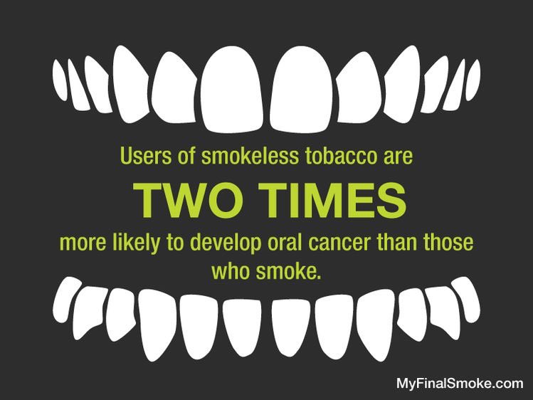 Sycamores did you know...?