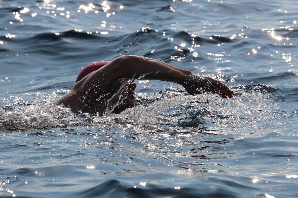 bkarasj's tweet photo. Calendar of Events for 2019 Season launched, full programme of events online - https://t.co/blRr4NBbbA  #swimming #cycling #athletics #triathlon #WeareBSJ https://t.co/4jeeW0r157