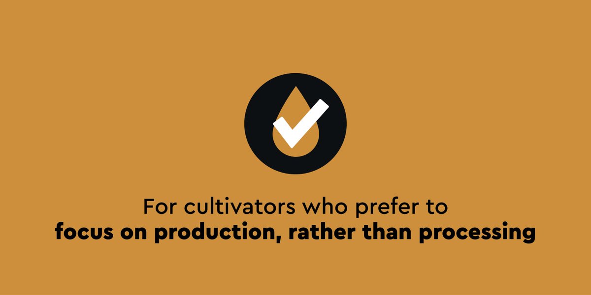 nextleaf_oils's tweet photo. “"Nextleaf's patented process allows a cannabis processor to turn raw biomass or a crude extract into a refined, high-purity oil that's tasteless, odourless, easy to standardize, or even make water soluble.” https://t.co/8Qfb4JryVd $OILS #edibles #infused #innovation #soiltoil https://t.co/BH7QcvbM87