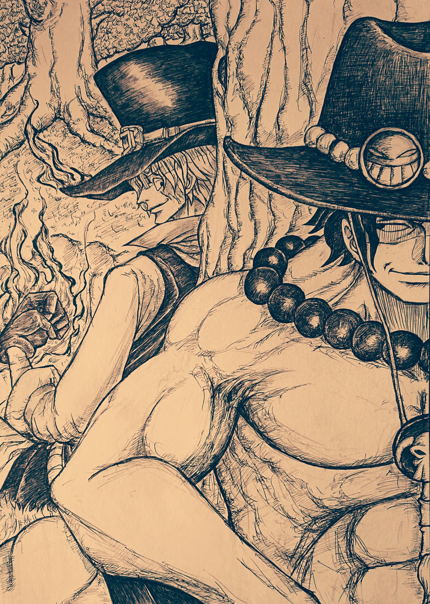 ｻｻｰｷ 799話の扉絵より ｴｰｽとｻﾎﾞ 絆 兄と兄 尾田っちが描く扉絵って素敵ですよね たった1枚だけど沢山の意味があって T Co Iogidzjgjb Twitter