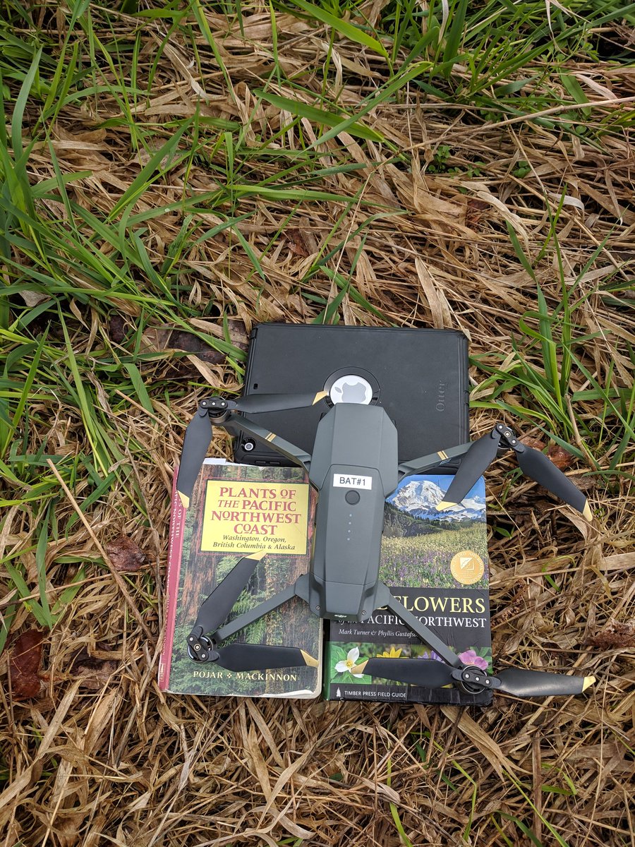 pnwgeogeek's tweet photo. The natural resources team is always prepared- impromptu launch/landing pad so I don't tear up the grass #geogeek #womeningeospatial #uav #gisproblems #fieldwork https://t.co/M4sE52Gdt3