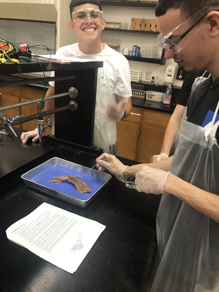 Alexandteach's tweet photo. Late post: we absolutely loved dissecting squids! I was only able to take a few pictures! #handsonlearning#scienceisfun#lovetoteach @CapeCoralHS  🦑🤓 https://t.co/htkisrh7jA
