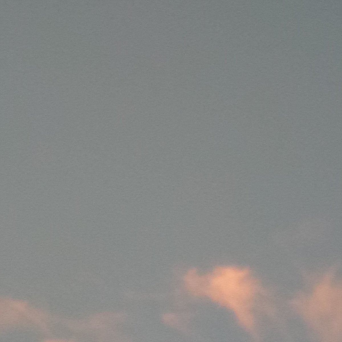 0.25 cm. tweet media