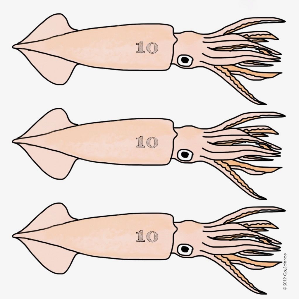 Go2Science tweet media