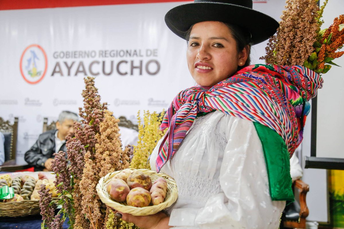 GoreAyacucho's tweet photo. #Hoy #Ayacucho
En el auditorio del #GoreAyacucho se realizó el lanzamiento del “XV Festival de la Papa y VIII de la Quinua Ecológica, Chontaca – Acocro” ”, actividad que tendrá lugar el 17 del presente mes, organizado por el distrito de #Acocro.
#SemanaSantaSegura2019 https://t.co/2N0yKKNx4j