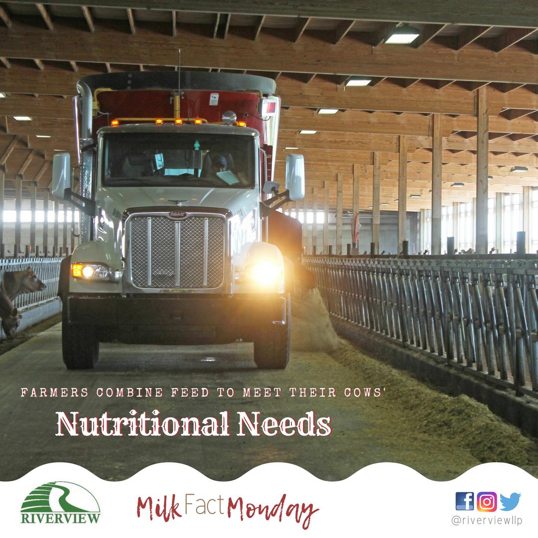 Cows eat a combination of hay, grain, silage, proteins, and vitamins and minerals. These ingredients are mixed and distributed by the feed truck!

#milkfactmonday
#dairynutrition
#cowfood