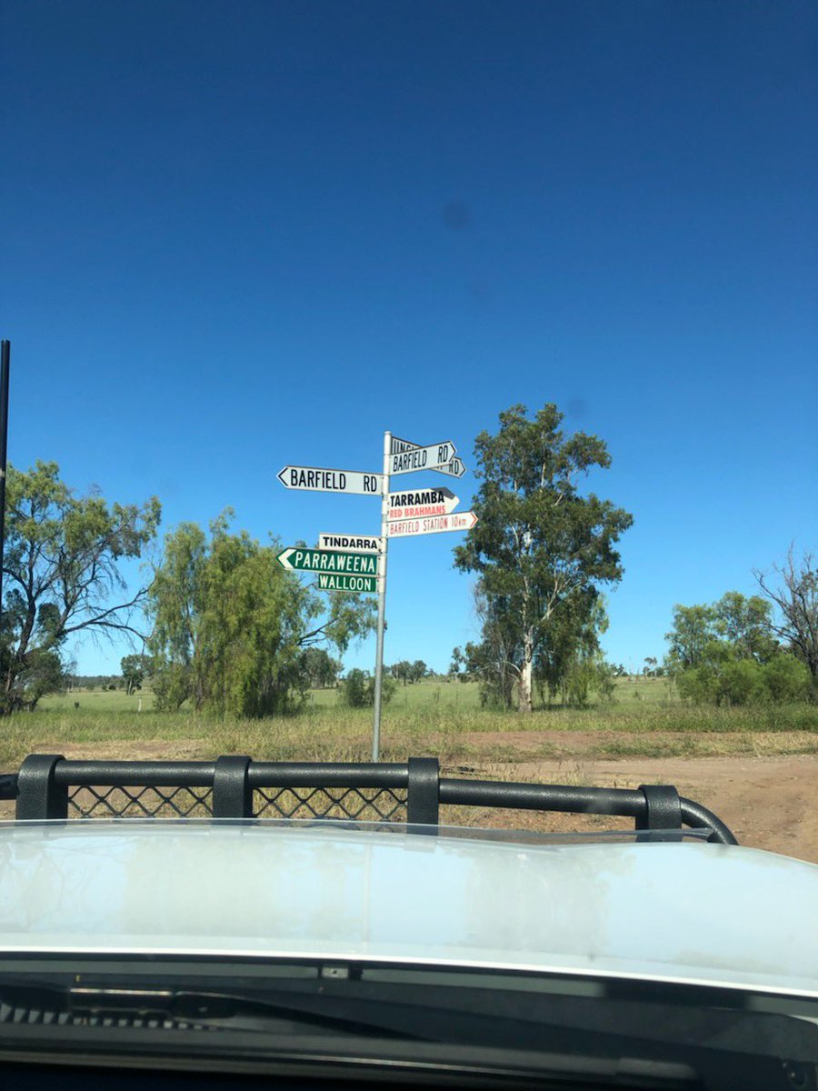 On farm with Tarramba Red Brahmans in Banana, QLD this morning - talking all things weighing. #gallagherlife #teamCQ #cattle
