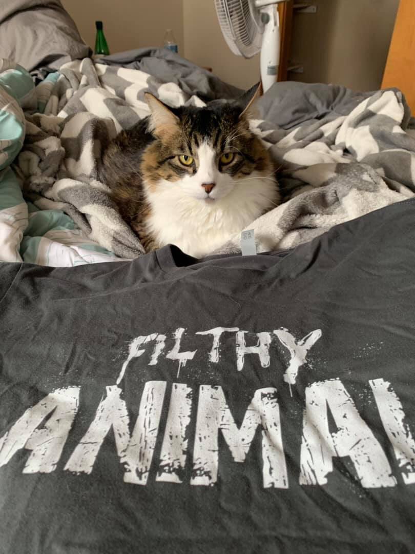 FilthyAnimalLLC's tweet image. Feeling cute! May delete later idk 😹  #FilthyAnimal #kittycat