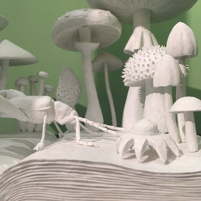 祝開店!大放出セール開催中】 小島秋彦 シナノキ アクリルペイント