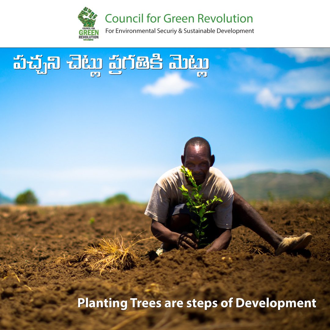 cgrindiaimpact's tweet photo. Trees are also an economic boon. Planting trees is a step forward towards development.
For more info: https://t.co/Ju8DDhd3xk
#PlantingTrees #Environment #EnvironmentalProtection #Plantation #PlantationofTrees #NonprofitEnvironmentalOrganization #environmentalconservation https://t.co/ji2KBdb1BA