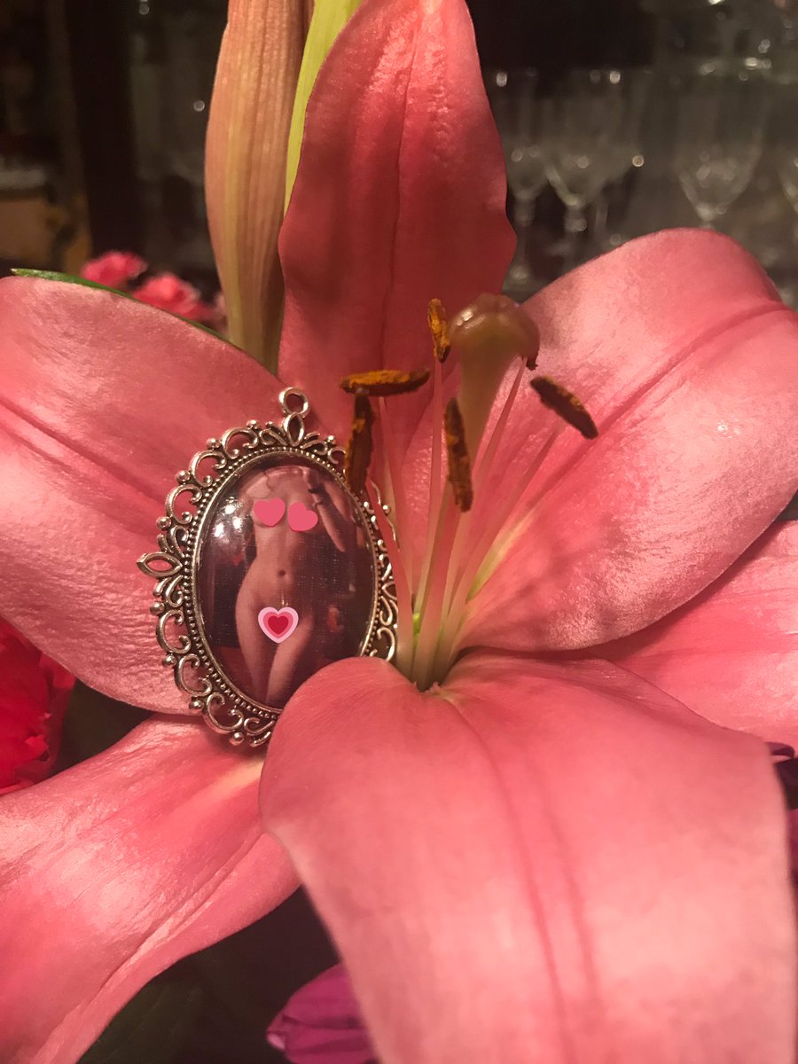 Foraged Nature tweet media