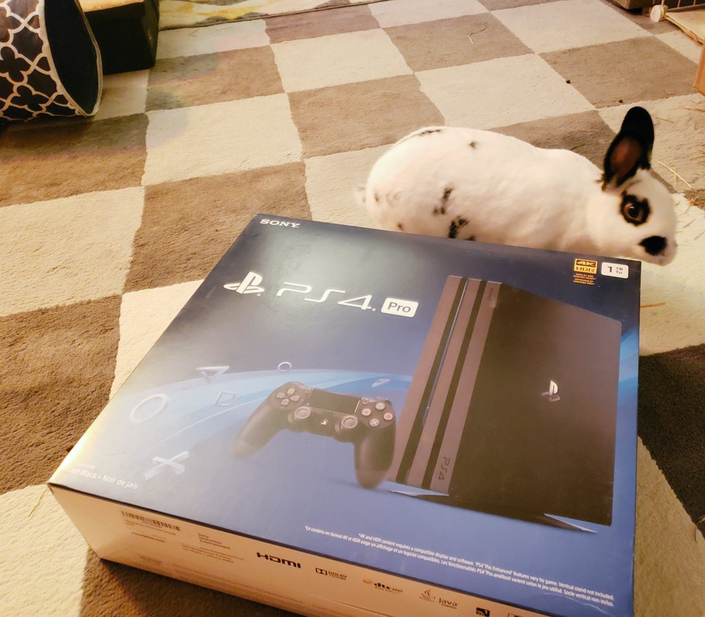 MiniAppl3's tweet image. Made it here right on time. #DreamsPS4  early access tomorrow April 16th. @mediamolecule @PlayStation