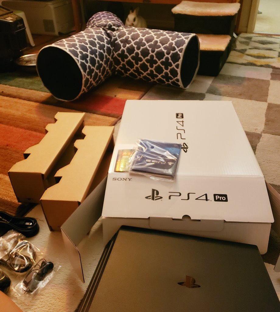 MiniAppl3's tweet image. Made it here right on time. #DreamsPS4  early access tomorrow April 16th. @mediamolecule @PlayStation