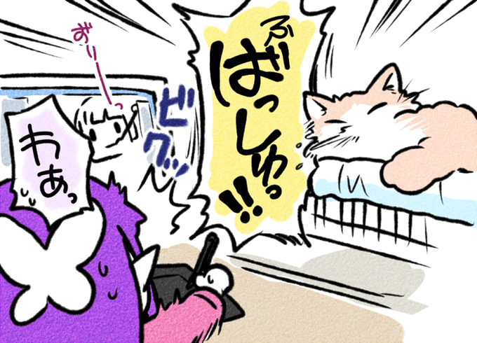 寝てたそめくんが特大のくしゃみして、恥ずかしいくらいびっくりした 
