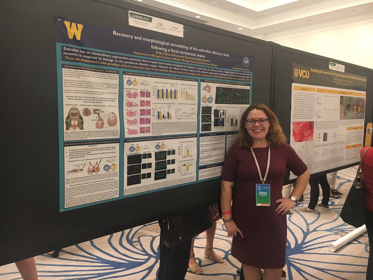 erikacalvophd's tweet photo. We had a great turnout at poster session II. Followed by some drinks! 😊#AChemS2019 #WMU #WMUBios #latinasin https://t.co/hUuBo4yuE0