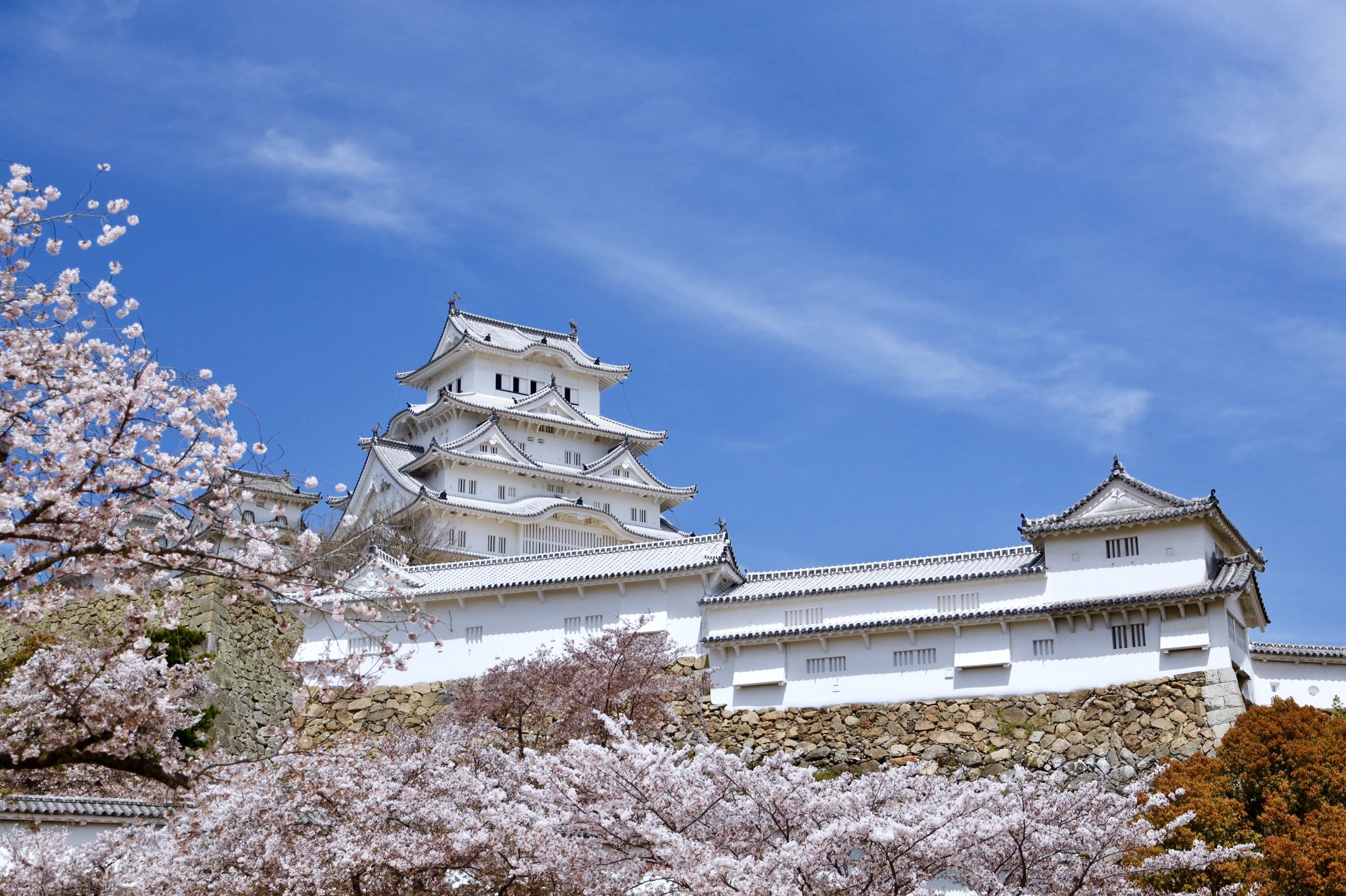 姫路桜 Twitter Search Twitter