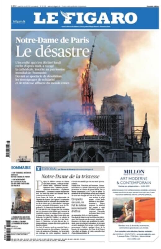 nohabazMD tweet media