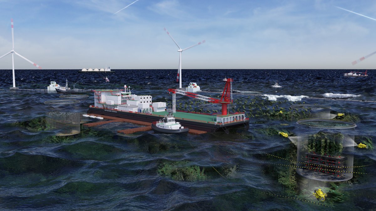 AMCTasmania's tweet photo. "The Blue Economy CRC imagines a future where integrated #seafood and #renewableenergy production systems operate offshore and there is confidence they are safe, reliable, efficient and environmentally responsible"

➡️https://t.co/8uB6nE8Ieo https://t.co/1B8l3a3oqt