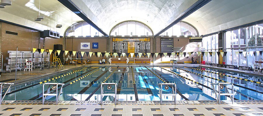 peyclass's tweet photo. I am extremely excited to announce that I will be continuing my academic and diving careers at Colorado College next fall. I want to give a huge thank you to all of my family, friends, teammates, and coaches who have supported me along the way. Go Tigers!🐯 https://t.co/nxjcMUDxEB