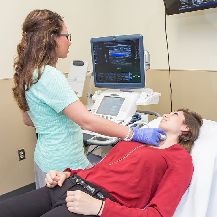 OCCollege's tweet photo. WOW! Congrats to our Diagnostic Medical Sonography students! They have successfully passed their registry for OBGYN and Physics. 100% pass rate on the first try!
#OCCollege #sonography #WhyOCC #OaklandCounty https://t.co/dTSHplzHLe