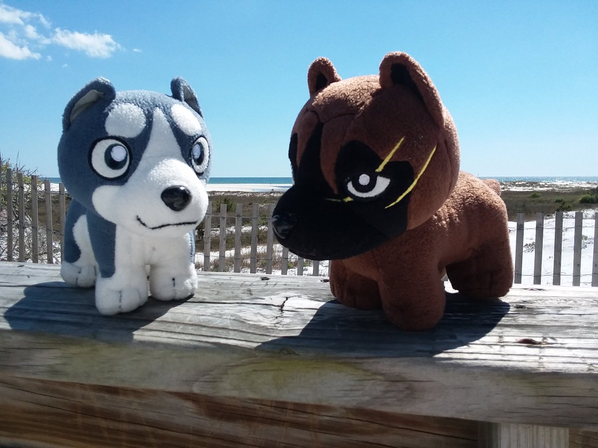 DunkinTheWolf's tweet photo. Weed and Ken went on an Adventure last week, to the beach of course.
#Ginga #GDW #Gingadensetsuweed #Gingaplush #Plushadventures https://t.co/jVo9QUQSd7