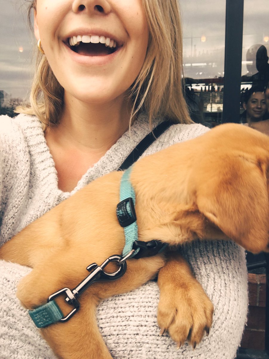 micaela_corinne's tweet photo. I’m sitting outside of a sushi restaurant and a man walks by.

He locks eyes and says, “Do you mind?” and SETS HIS PUPPY ON MY LAP as he heads in to grab his order.

No sir, I don’t mind.

Twitter, meet Bella. She 10 weeks old &amp; a very good girl. https://t.co/fPnn349dEU