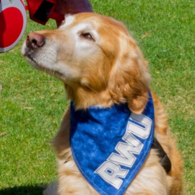 RwuFletcher's tweet photo. #NewProfilePic https://t.co/y79adFj19e