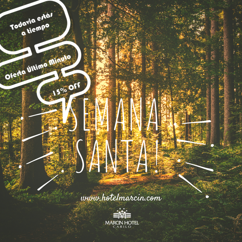 MarcinHotel's tweet photo. #SemanaSanta.. Todavía no te decidiste?... Conocé nuestro nuevo motor de reservas, presupuestá y venite!! Aprovecha el último minuto!!! 
https://t.co/ADsJaq5fCK
#EnjoyMarcin #ReservaYa #LastMinute https://t.co/EEh4TfDnc8