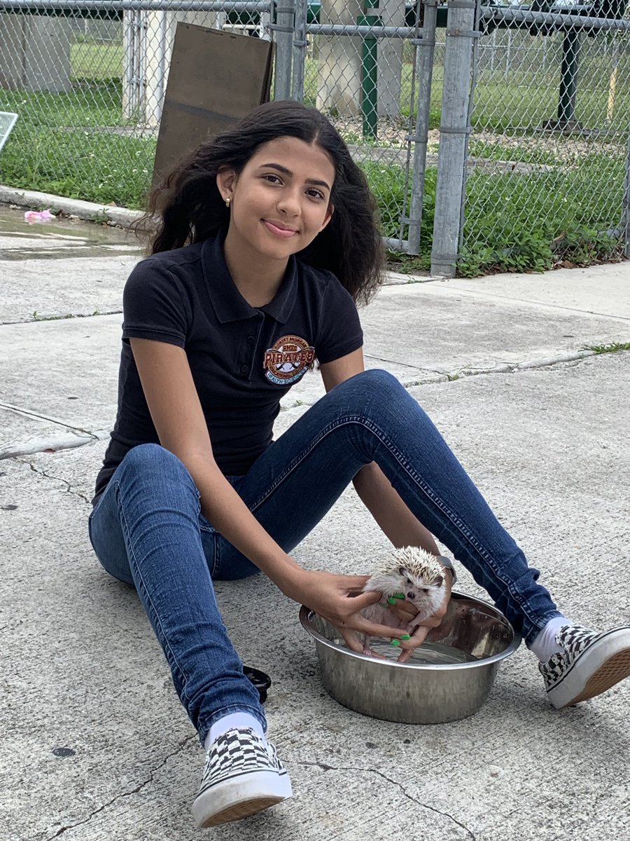 RMSH_Pirates's tweet photo. โThe greatness of a nation & its moral progress can be judged by the way its animals are treated.โ -Ghandi #MondayMotivation #MDCPS #VeterinaryAssisting #RMEC https://t.co/mhoRzsYsC1