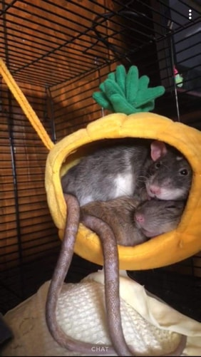 Derek Weber tweet media