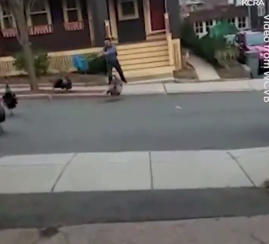 ALLgoodtome's tweet image. #CozyThoughts
Thanksgiving&apos;s coming early this year
mostly out of retaliation AGAINST WILD TURKEYS!


#TurkeyTerrorist #TurkeyKrueger
#HatchetWound #BadTurkey #TurkeyRecall
#TFBOYS #UnitedNation #QuestionsforSatan
#MaytagPowerHouse #GameofThrones
Bran Sansa