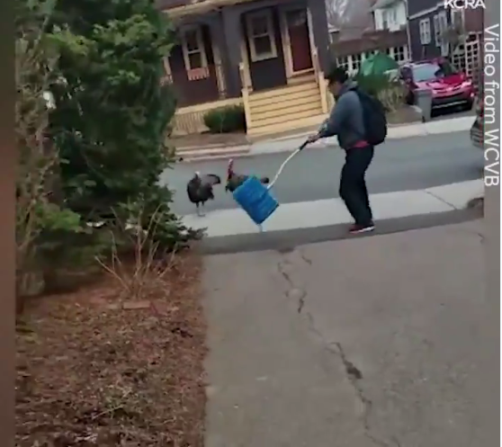 ALLgoodtome's tweet image. #CozyThoughts
Thanksgiving&apos;s coming early this year
mostly out of retaliation AGAINST WILD TURKEYS!


#TurkeyTerrorist #TurkeyKrueger
#HatchetWound #BadTurkey #TurkeyRecall
#TFBOYS #UnitedNation #QuestionsforSatan
#MaytagPowerHouse #GameofThrones
Bran Sansa