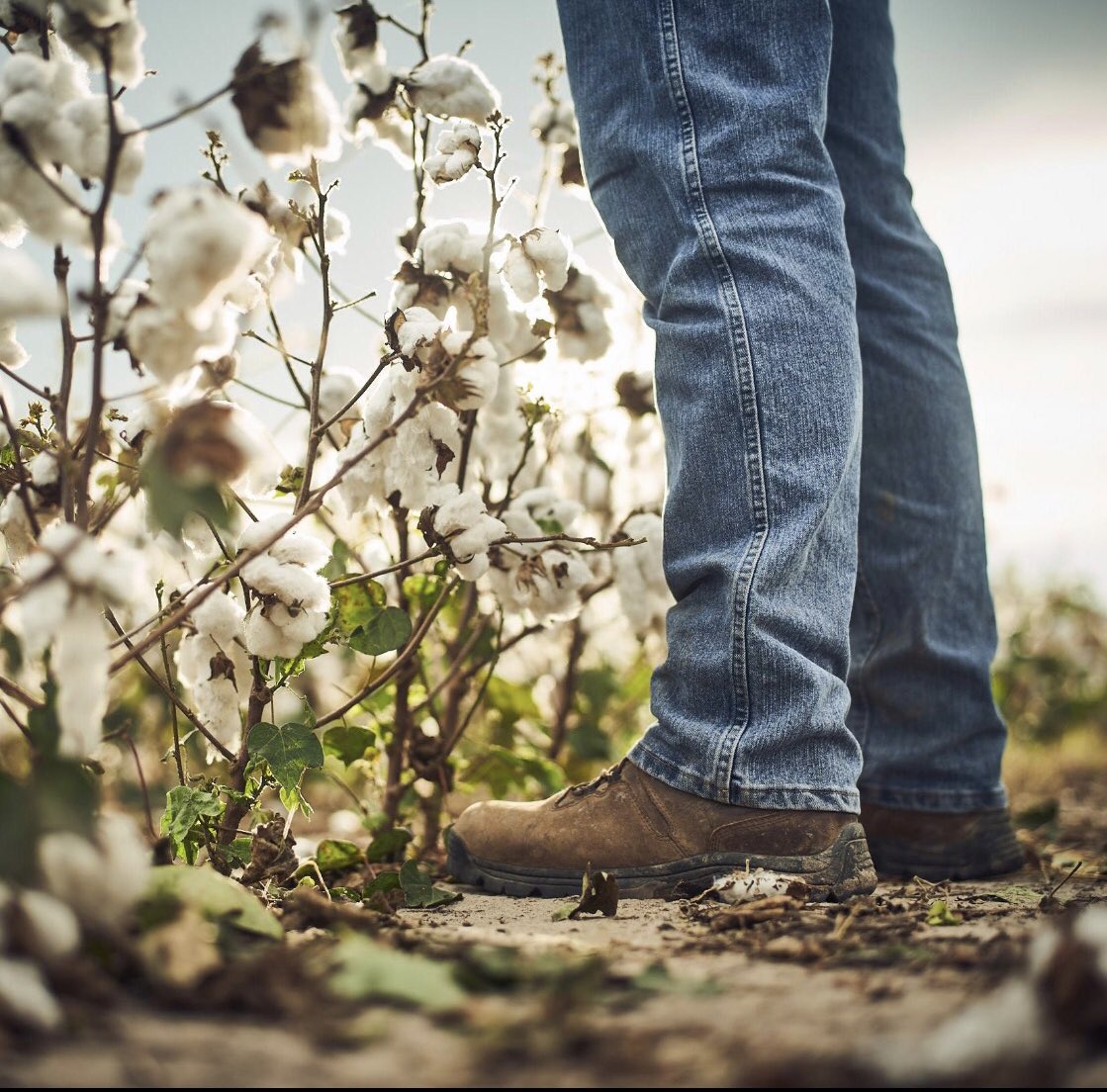 DeltapineT's tweet photo. We hope everyone enjoyed their weekend.. 

Planting season is just days/weeks away and we want to know what questions you have for our agronomist! 

Comment your questions below for our upcoming FB live with area agronomist Eric Best! #westtexastough #agronomistperspective https://t.co/hxHjTEEWLz