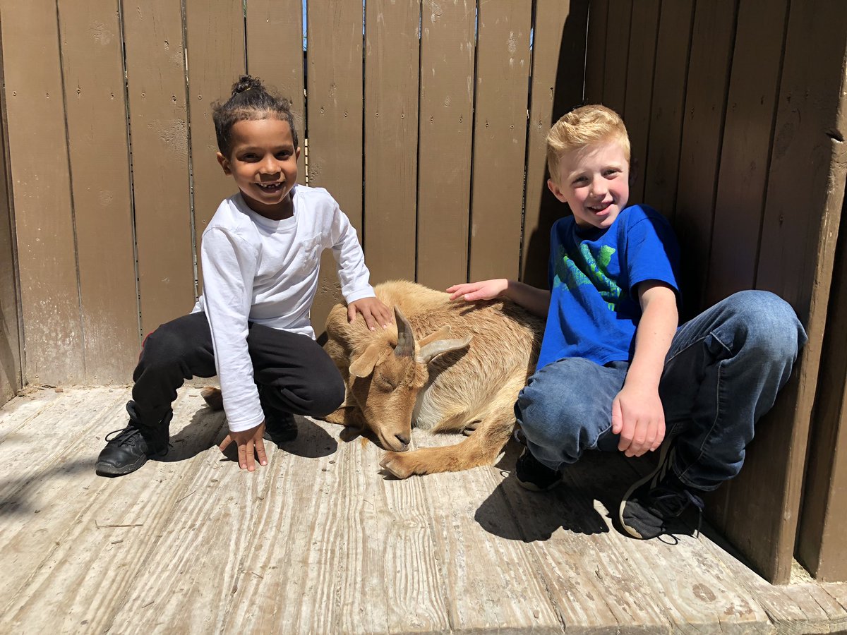 FarrarFirst's tweet photo. Lions, tigers, and bears..oh my! These Farrar firsties had a wonderful day at the Nashville Zoo. Ss enjoyed learning all about animals &amp; their habitats. A fun time was had by all! @edens_debbie @AmberGluch @rlferguson76 @courtneynholt1 #TCSPublic #farrarfrogs https://t.co/0aX8mGjxrp