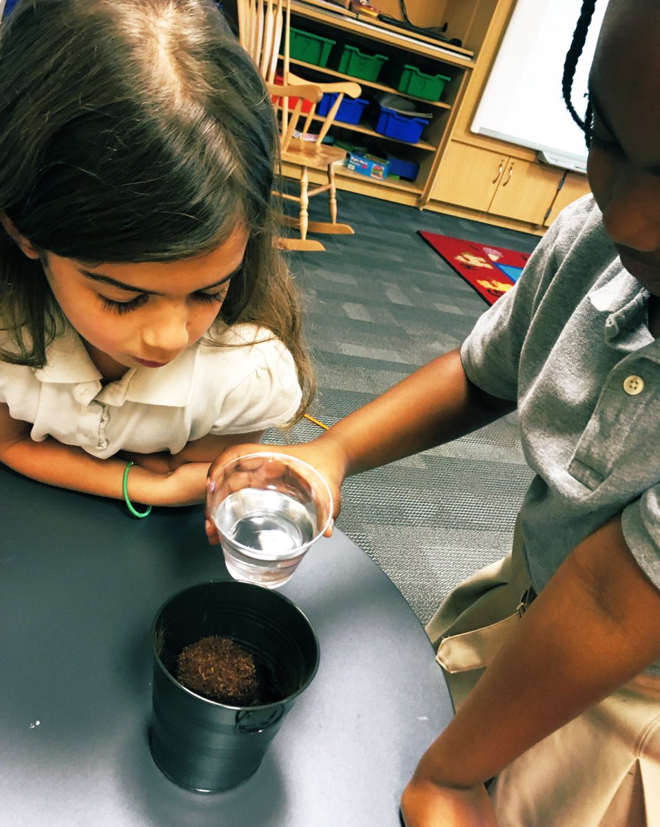 pgloverNCCAE's tweet photo. Today we started our cilantro plants from seed! Hope these guys sprout soon! We are LOVING checking the progress of our lima beans, carrots and radishes! #gardeners #sciencebrains #weloveplants https://t.co/ity82TPUSJ