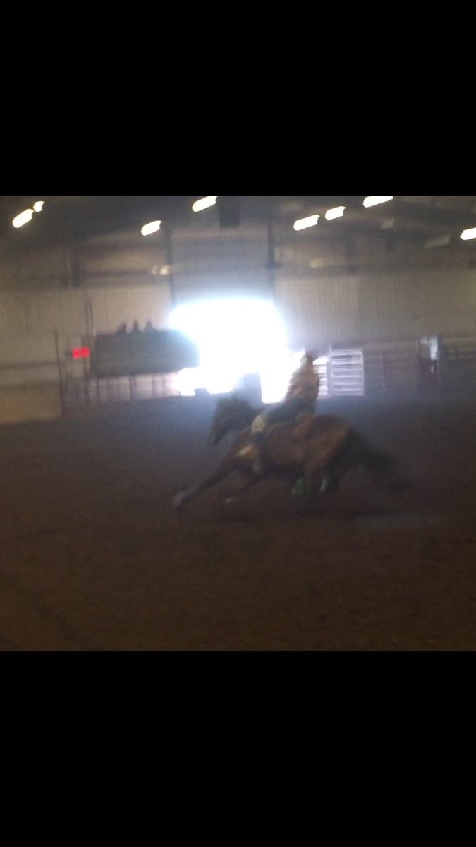 turn_n_burner's tweet photo. Kind of a dark arena #sundialshowclothing #xtremebarrelrace #secondbarrel #barrelracers #cowgirlsliveforever #bekind #stayhumble #beyou #beyourself #athletes #BlessedAndGrateful https://t.co/RFverZBcuU