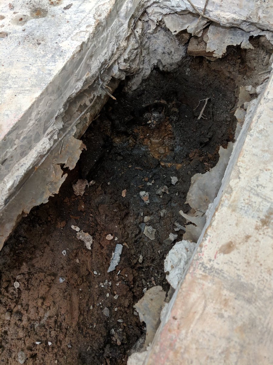 thatGLENNpm's tweet photo. I finally cut out my poop pipe. It was a big one.. took multiple extractions π©
#PoopPipe #DIY #VacationProjectExtended https://t.co/Hcy76YNfC6